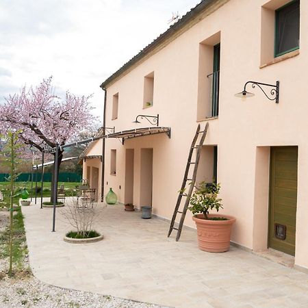B&B Le Rondini Ostra Senigallia Casine  外观 照片