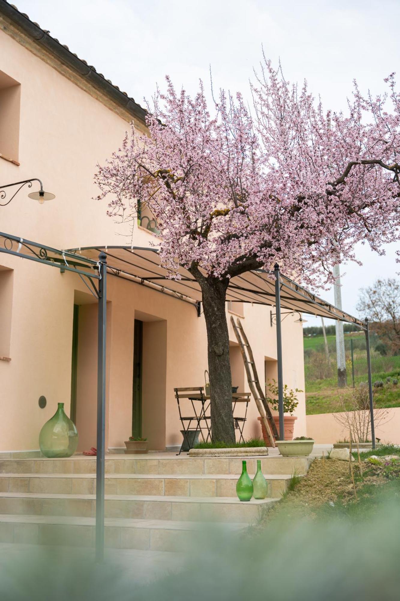 B&B Le Rondini Ostra Senigallia Casine  外观 照片